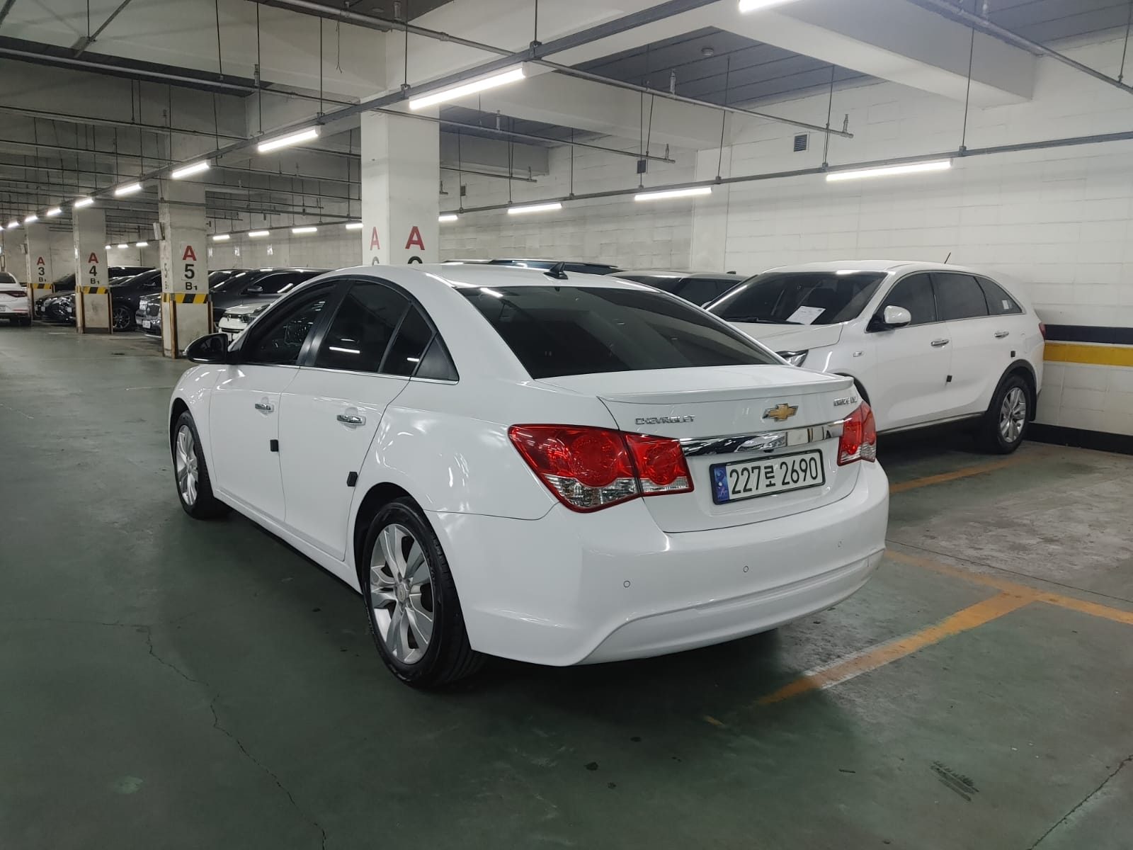 SafeLine vehicles ready to provide safe and reliable transportation